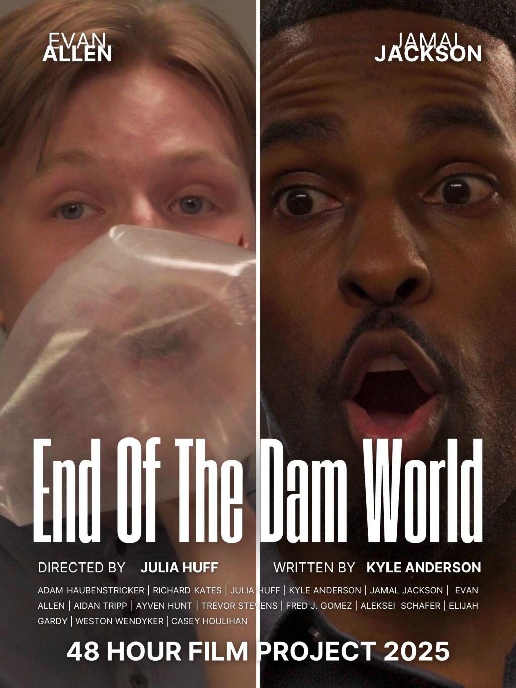 Filmposter for End of the DAM World
